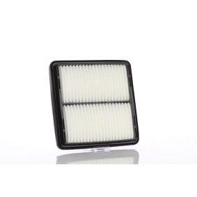 Luftfilter von PZL Filters WA53220