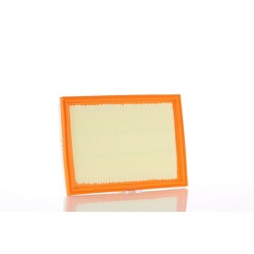 Kjøp Luftfilter av PZL Filters WA59435 til den lave prisen 242,86 NOK
