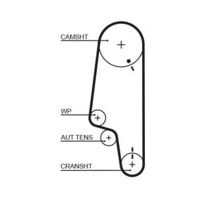Achetez des Courroie de distribution GATES 5428XS à prix pour 15,56 €