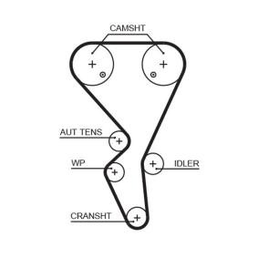 Achetez des Courroie de distribution GATES 5581XS à prix pour 24,30 €