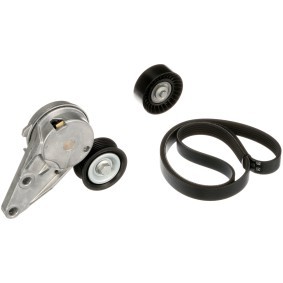 Achetez des Thermostat de chez GATES en ligne pour 504 GR Pick-up à prix modérés