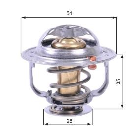 Kühlwasserthermostat TH43880G1