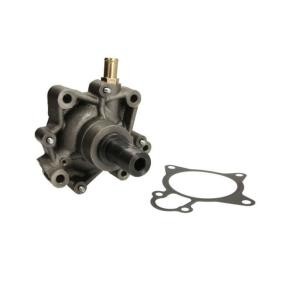 Achetez des Pompe à eau de chez THERMOTEC en ligne pour MASSIF Single Cab à prix modérés