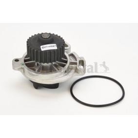 Acquista Pompa acqua da CONTITECH WP6066 a buon mercato per soli 57,27 €
