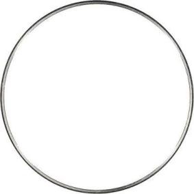 Acquista Anello scorrimento, Albero a gomiti da GLASER X59555-01 a buon mercato per soli 21,71 €