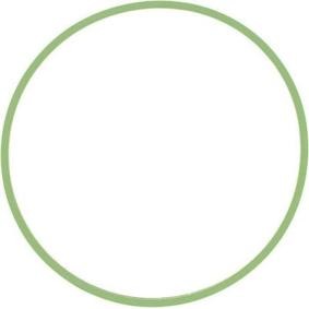 Dichtung, Ansaugkrümmergehäuse X71037-01 für Cabrio (R52) für 4,52 CHF