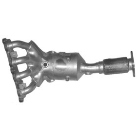 Katalysator FK-863