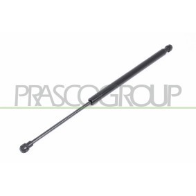 Radhausschale von PRASCO VG0363633