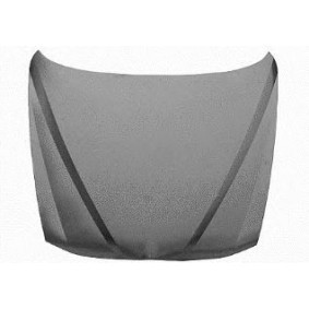 Motorhaube 0156660