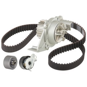 Achetez des Kit de distribution + pompe à eau RIDEX 3096W0174 à prix pour 91,15 €