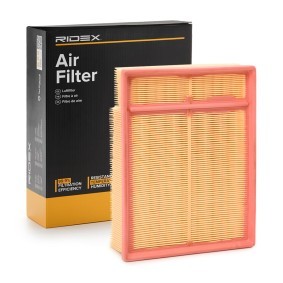 Kjøp Luftfilter av RIDEX 8A0673 til den lave prisen 193,32 NOK