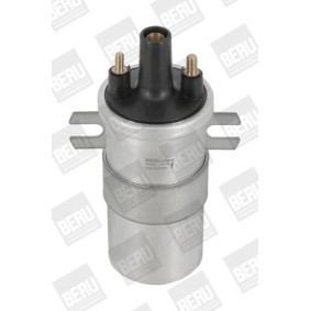 Achetez des Bobine d'allumage BERU ZS565 à prix pour 69,77 €