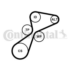 Compre Jogo de correias trapezoidais estriadas da CONTITECH 5PK1105K1 a um preço baixo por 74,03 €