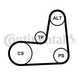 Compre Jogo de correias trapezoidais estriadas da CONTITECH 5PK1135K2 a um preço baixo por 46,97 €