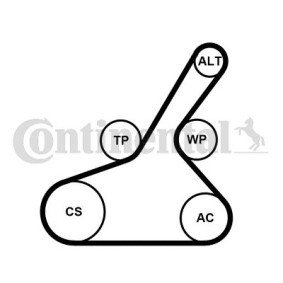 Achetez des Jeu de courroies trapézoïdales à nervures CONTITECH 6PK1190K1 à prix pour 145,38 €