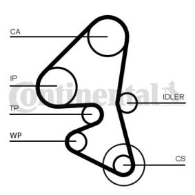 Achetez des Kit de distribution + pompe à eau CONTITECH CT1163WP1 à prix pour 173,85 €