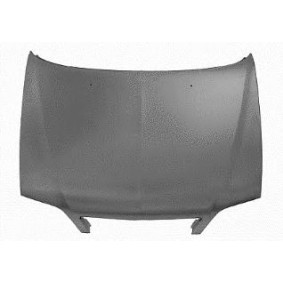 Motorhaube 0955660