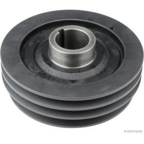 Achetez des Poulie damper (vilebrequin) HERTH+BUSS JAKOPARTS J1095015 à prix pour 144,19 €