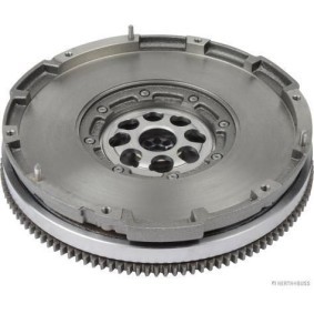 Schwungrad J2110505