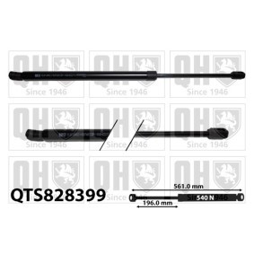 Achetez des Vérin de coffre QUINTON HAZELL QTS828399 à prix pour 28,78 €