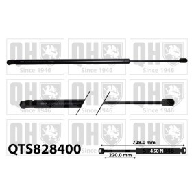 Heckklappendämpfer QTS828400 von QUINTON HAZELL günstig für 21,29 € online kaufen