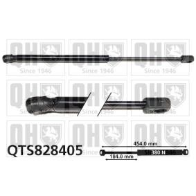 Achetez des Vérin de coffre QUINTON HAZELL QTS828405 à prix pour 30,06 €