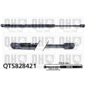 Achetez des Vérin de coffre QUINTON HAZELL QTS828421 à prix pour 21,58 €