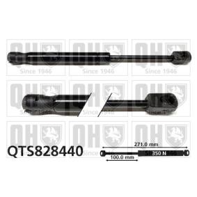 Heckklappendämpfer QTS828440