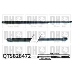 Heckklappendämpfer QTS828472