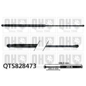 Achetez des Vérin de coffre QUINTON HAZELL QTS828473 à prix pour 22,32 €