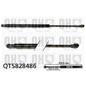 Heckklappendämpfer QTS828486 von QUINTON HAZELL günstig für 26,15 € online kaufen