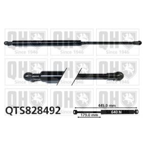 Heckklappendämpfer QTS828492