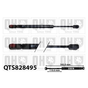 Motorhaubendämpfer QTS828495