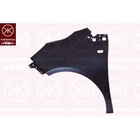 Kotflügel 5027311