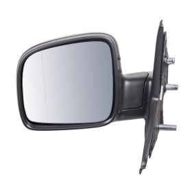 Compre Espelho retrovisor exterior, cabina da FEBI BILSTEIN 102573 a um preço baixo por 121,95 €