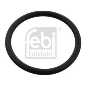 Osta EGR-jäähdytin FEBI BILSTEIN:llä 102611 edullisesti hintaan 606,27 €