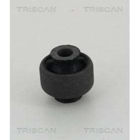 Lagerung, Lenker von TRISCAN