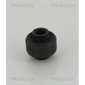 Lagerung, Lenker von TRISCAN