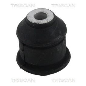 Lagerung, Lenker von TRISCAN