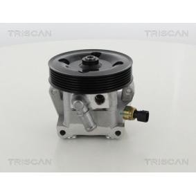 Servopumpe von TRISCAN