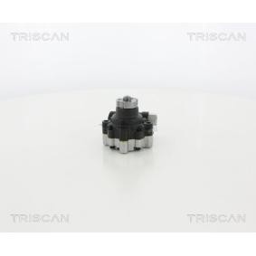 Servopumpe von TRISCAN
