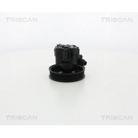 Servopumpe von TRISCAN