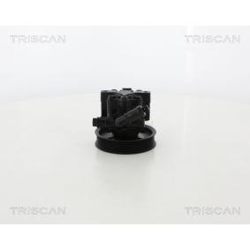Servopumpe von TRISCAN