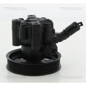 Servopumpe von TRISCAN