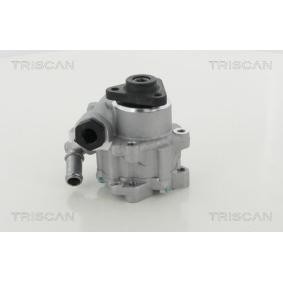 Servopumpe von TRISCAN