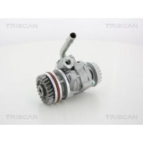 Servopumpe von TRISCAN