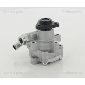 Servopumpe von TRISCAN