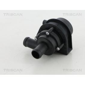 Achetez des Pompe à eau TRISCAN 8600 29076 à prix pour 83,41 €