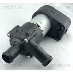Achetez des Pompe à eau TRISCAN 8600 80020 à prix pour 75,95 €