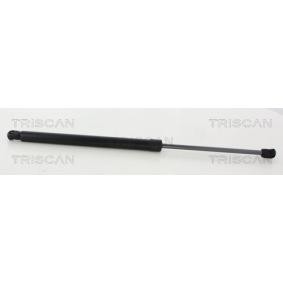 Heckklappendämpfer 8710 292047 von TRISCAN günstig für 36,19 € online kaufen